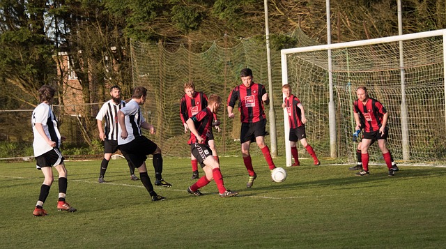 坚韧的精神 坚韧的精神