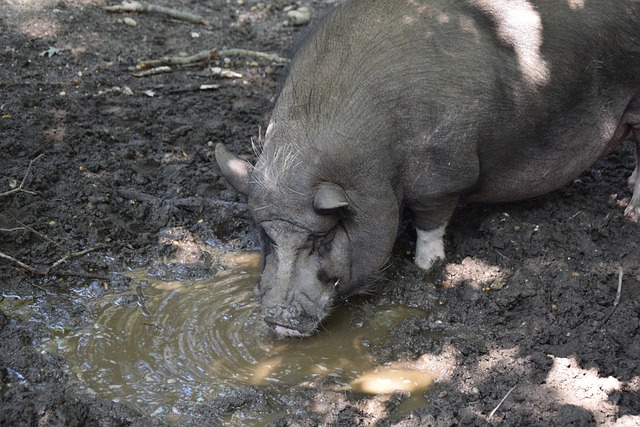 博阿滕：克羅斯憑借出色表現值得更多認可，他將成為德國的寶貴財富.