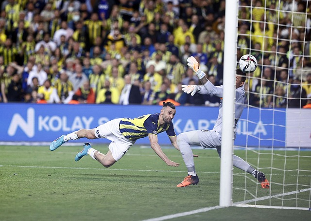 英超：握手言和 富勒姆队2-2伯恩茅斯队.